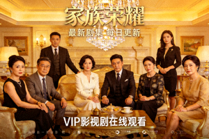 电视剧《家族荣耀》最新剧集 - 每日更新好看的电视剧，VIP影视剧在线观看